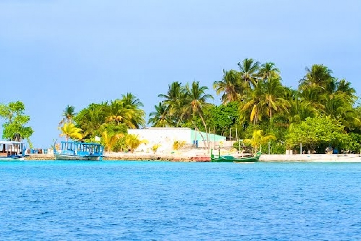 ފުއްޕާމެއަށް ކިރުއެޅިގެން އެއްމަހުގެ ކުއްޖަކު ނިޔާވެއްޖެ