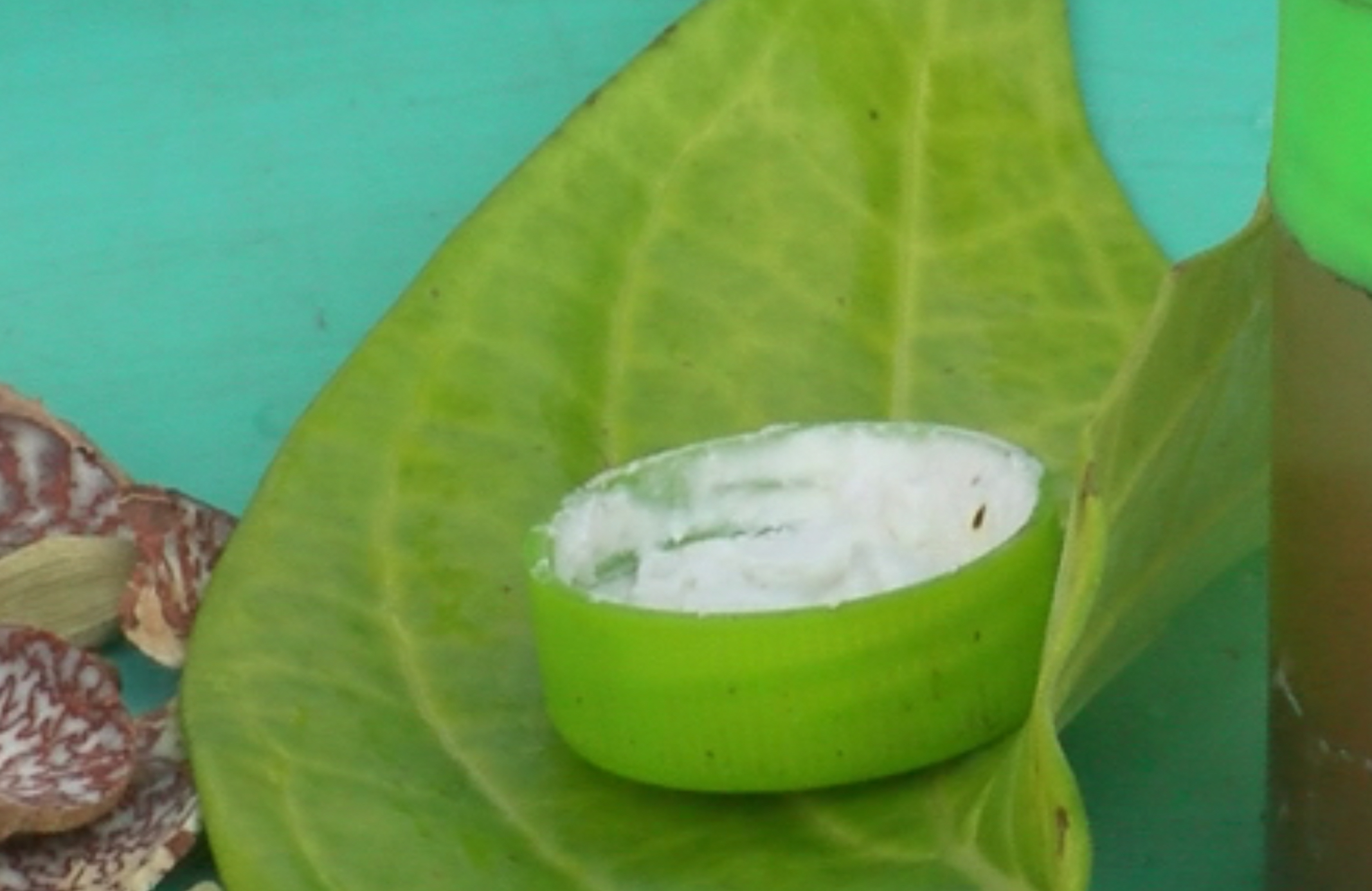 ސަމާލުވޭ; ބިލެތްހުނީގެ ބަދަލުގައި ކޯނިސްޕައުޑަރ ދޭ މައްސަލައެއް ފެންމަތިވެއްޖެ