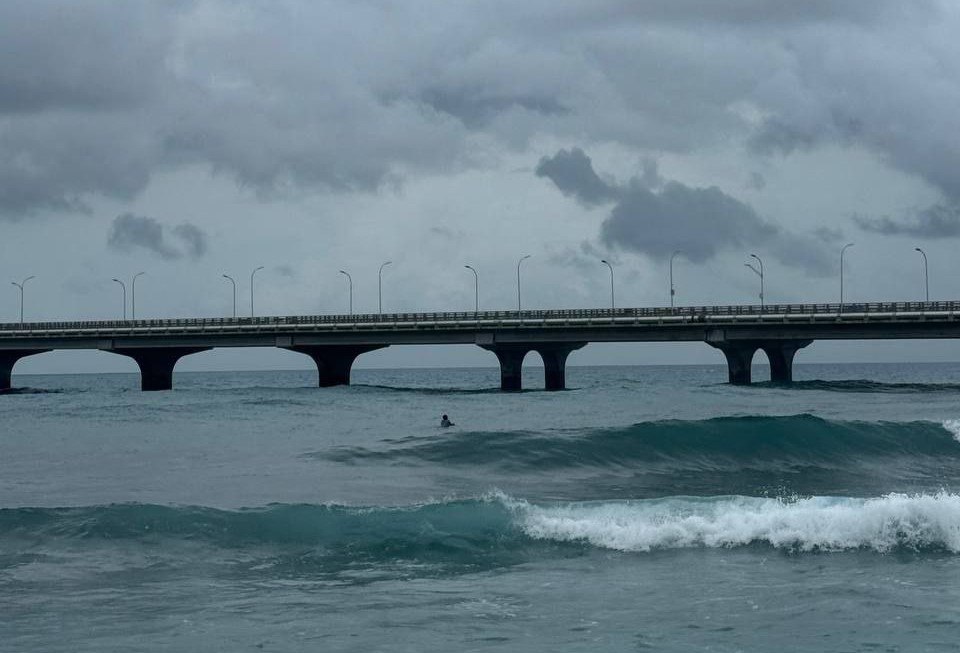 ސިނަމާލެ ބްރިޖު ކައިރިން އޮޔާ ދަނިކޮށް ފެނުނު މީހާ އޮތީ މަރުވެފައި