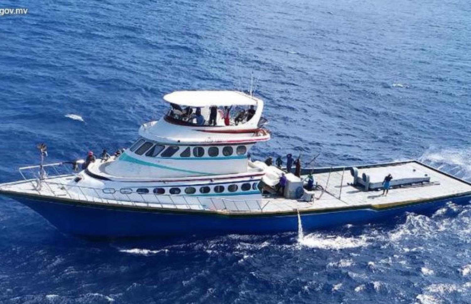 މަސްދޯނި ފަހަރަށް، ލައިސެންސު ދޭ އުސޫލަށް ބަދަލުތަކެއް ގެނެސްފި