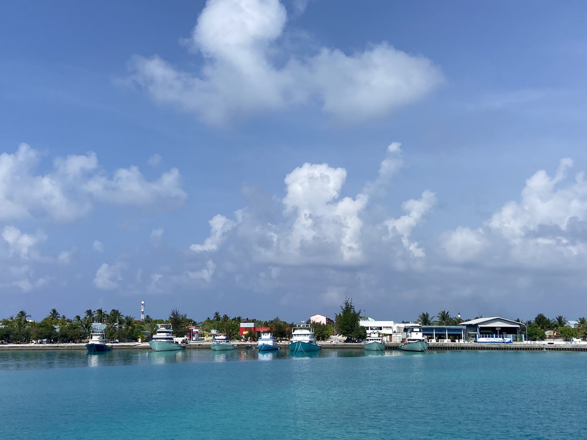 ގެވެށި އަނިޔާގެ މައްސަލައެއްގައި ޢުމުރުން ދުވަސްވީ މީހަކު ހައްޔަރުކޮށްފި