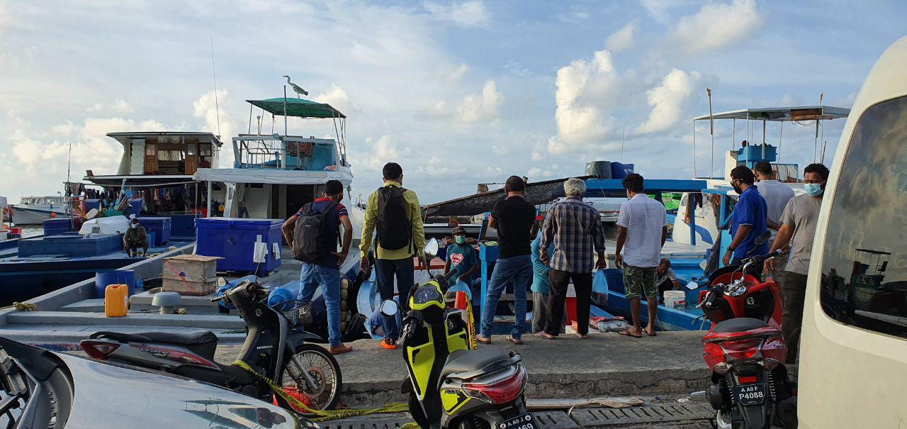 ދިވެހި މަހުގެ އަގު ޔޫރަޕް މާކެޓްގައި ދެގުނަ އުފުލިއްޖެ