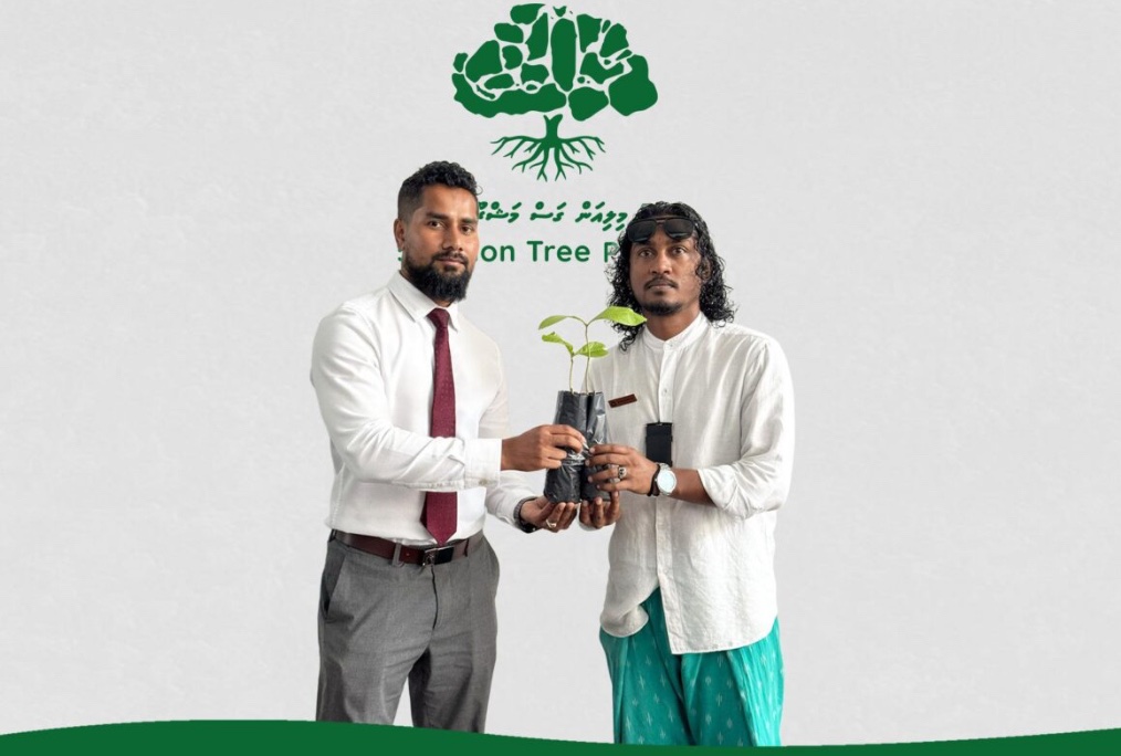 5 މިލިއަން ގަސް ޕްރޮގްރާމް: ލަންކާއިން ހަދިޔާކުރި ގަސްތައް ބަހަން ފަށައިފި