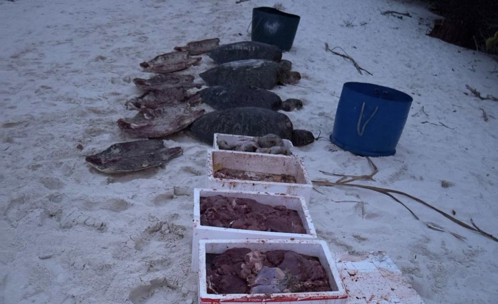 ބ. ކެޔޮދޫގައި ވެލާތައް މަރާލިމީހުން ހައްޔަރު ނުކުރާކަމަށް ފުލުހުން ބުނެފި