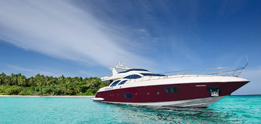 ޑީއާރްޕީގެ ކުރީގެ ލީޑަރ ތަސްމީންގެ ހިއްސާ އޮތް ސަލްޓަންސްއިން 110 މިލިއަން ރުފިޔާ ކަސްޓަމަށް ދައްކަންޖެހިއްޖެ