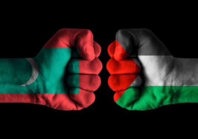 ދިވެހިންގެ ނަމުގައި ޣައްޒާއަށް 20 ހާސް ލީޓަރުގެ ތެޔޮ