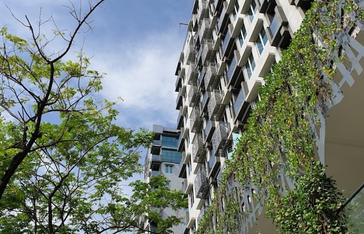 އެފްއޭއެމް މައްސަލާގައި އަމީން ކޮންސްޓްރަކްޝަން މައްޗަށް ދައުވާކޮށްފި