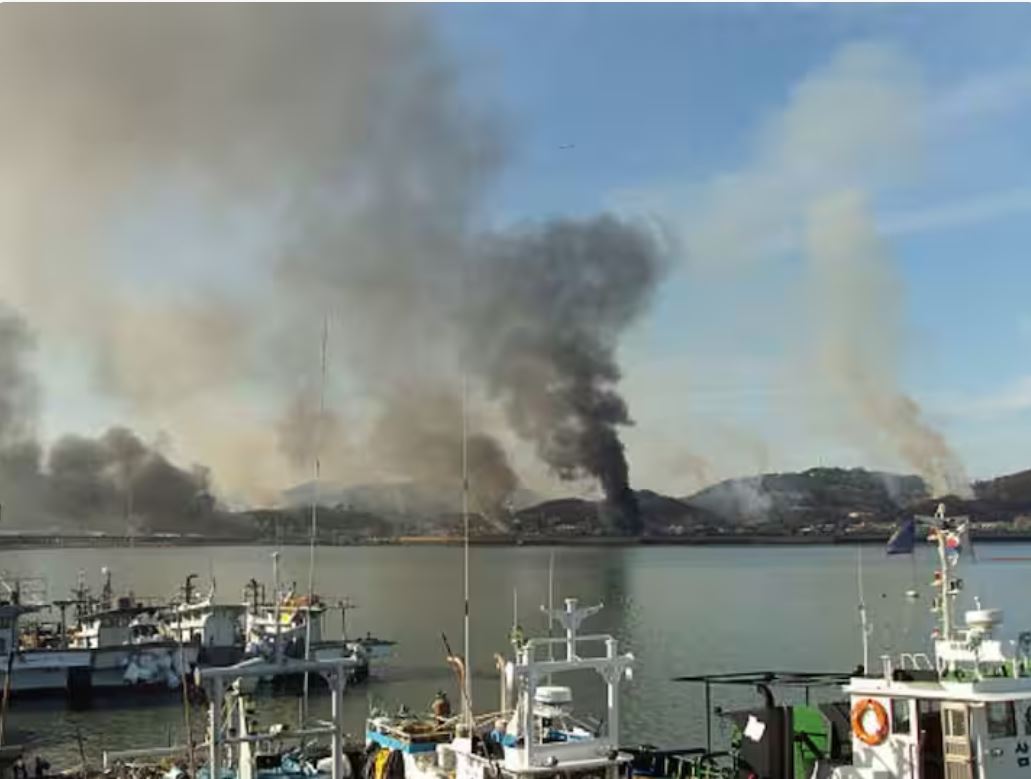 North Korea fires over 200 artillery barrage near South's border. ( Image Source : Getty )