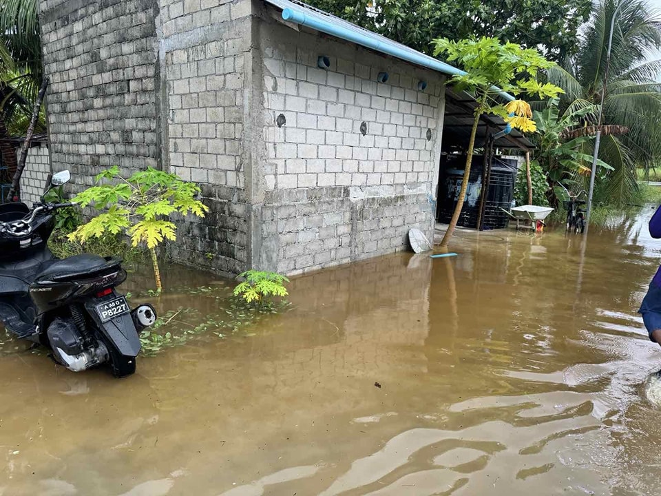 ވިއްސާރައިގައި ގެއްލުންވިކަމުގެ ރިޕޯޓު 9 ރަށަކުން ލިބިފައިވޭ: ޑިޒާސްޓަރ