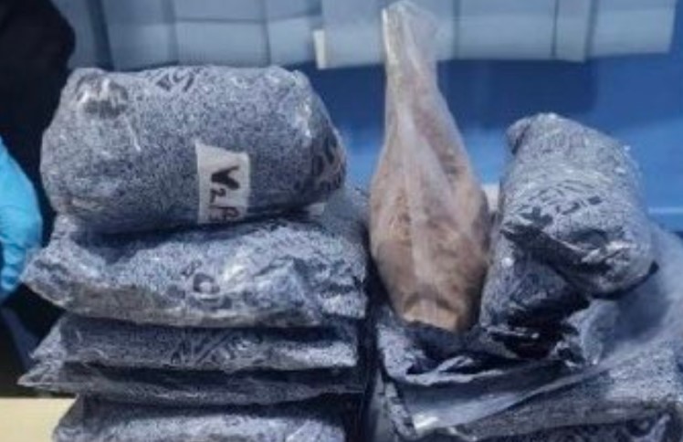 ދިރުވާލައިގެން މަސްތުވާތަކެތި އެތެރެކުރި ނައިޖީރިއާ މީހަކު އަތުލައިގެންފި