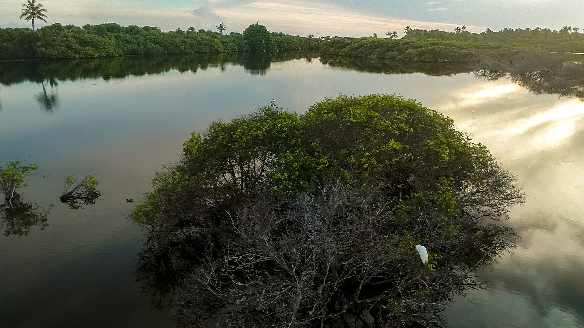 ނޭޗާ ޕާކުތައް ތަރައްގީކުރަން 23 ފަރާތަކުން ޝައުގުވެރިކަން ފާޅުކޮށްފި