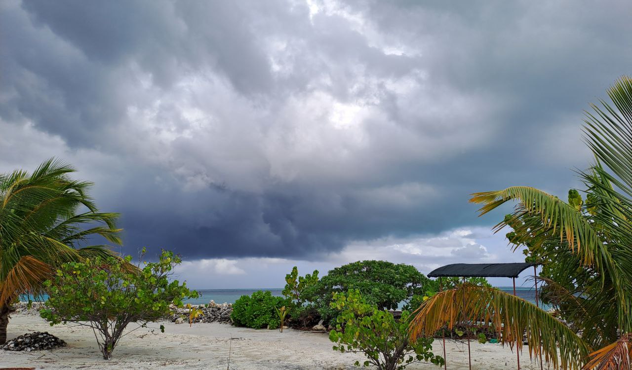 މޫސުމަށް ސަމާލުވުމަށް އިލްތިމާސް ކޮށްފި