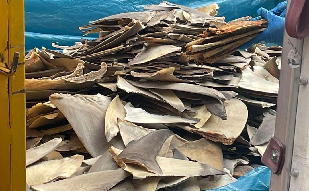 މިޔަރު އުރަހަ ބޭރުކުރަން އުޅުނު މީހަކު ބައިލައްކަ ރުފިޔާއިން ޖޫރިމަނާ ކޮށްފި