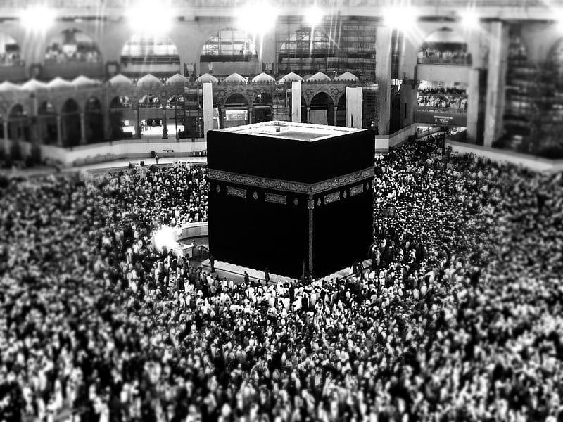 އުމްރާއަށް ދިޔަ ދިވެއްސެއް ނިޔާވެއްޖެ