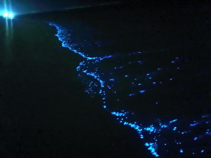 ހުޅުމާލޭ ގޮނޑުދޮށުގައި ވެސް ރެދަން ލައިފި؛ ވަރަށް ހިތްގައިމު!