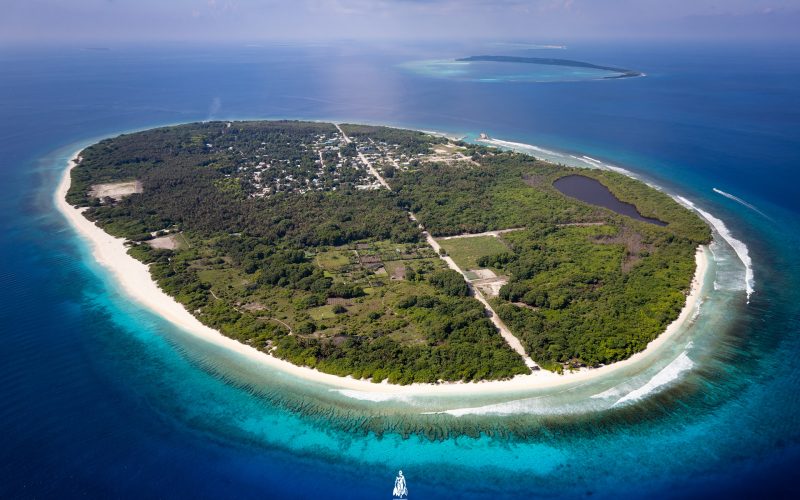 ނޮޅިވަރަމުގައި އުމުރުން ދުވަސްވީ މީހަކު މޫދަށްއެރި އުޅެނިކޮށް ނިޔާވެއްޖެ