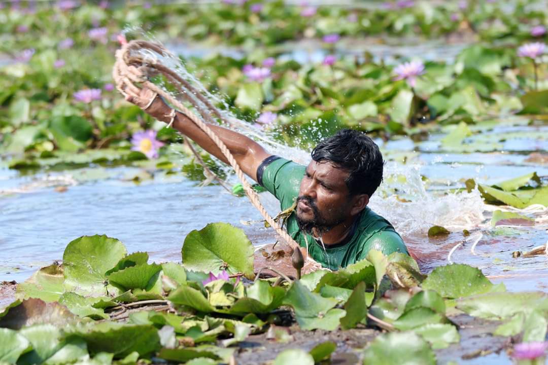 ތިމާވެށި ހިމާޔަތް ކުރުމަށް ރޭންޖާރސް އިތުރުކުރަނީ