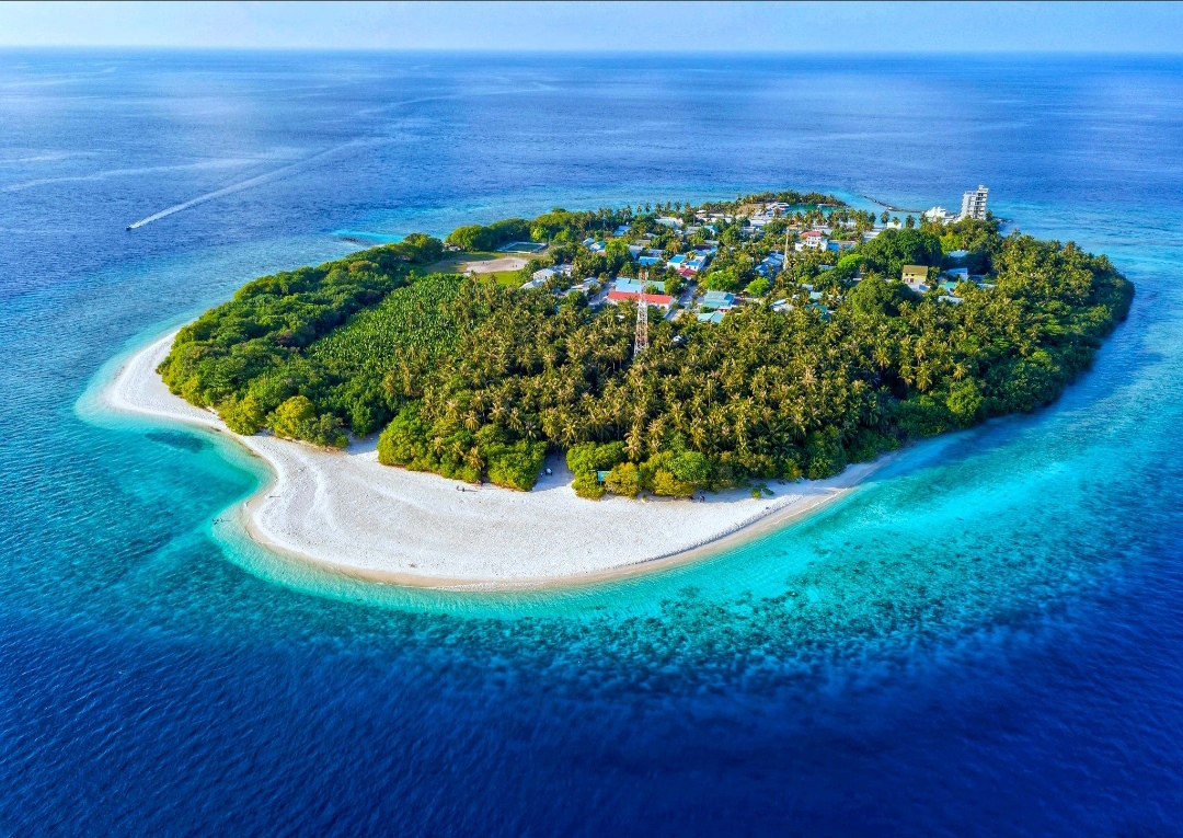 ޖެނުއަރީމަހު ގްރީން ޓެކުހުގެ ގޮތުގައި 95 މިލިއަން ރުފިޔާ