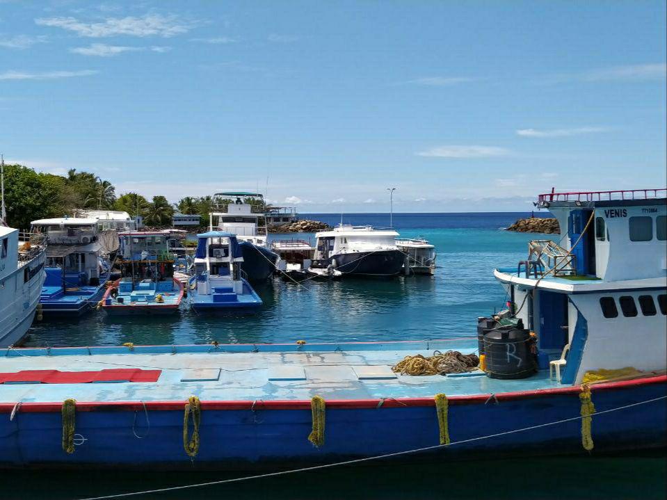 ރަށްރަށަށް ދާން ޖެހޭ އެންމެން މިމަހު 24ގެ ނިޔަލަށް ފޮނުވޭނެ- ރައީސް ޞާލިޙް