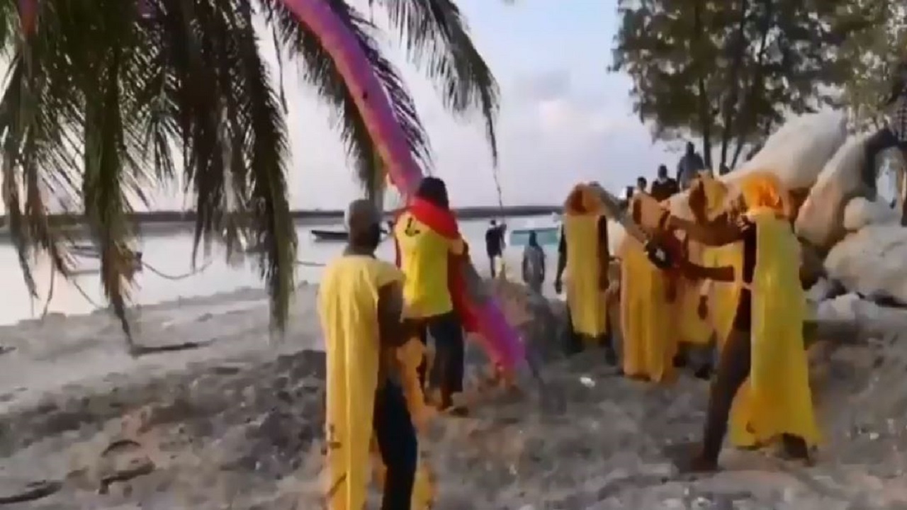 ފިޔާތޮށިކުލަ ލާފައިވާ ރުއް ކަނޑާލި މައްސަލަ އެމްޑީޕީން ކުށްވެރިކޮށްފި