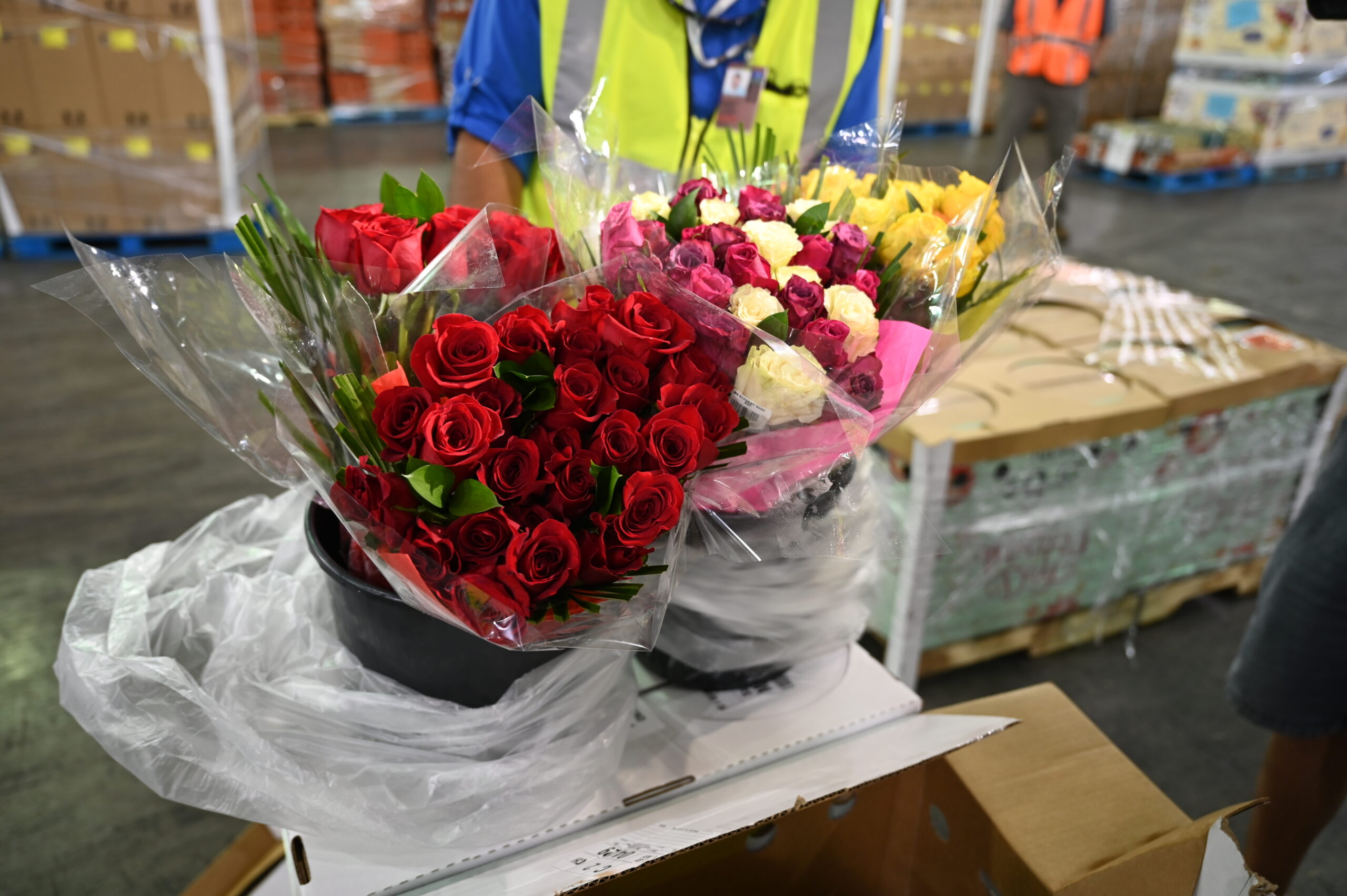 ރާއްޖެއަށް ގަވާއިދާ ހިލާފަށް އެތެރެކުރި 4000 އަށްވުރެ ގިނަ ގަސް ހިފަހައްޓައިފި