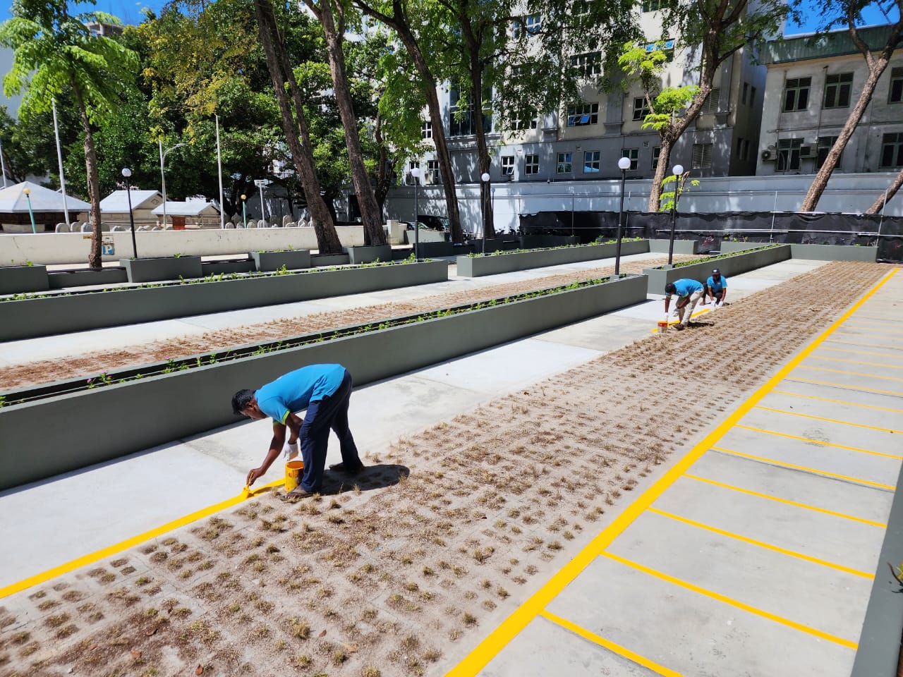 ވެލާނާގޭ ޕާކިންޒޯން ބަންދުކުރީ ޕާކިން ބިލްޑިންގ އެތަނުން ނެގުމަށް