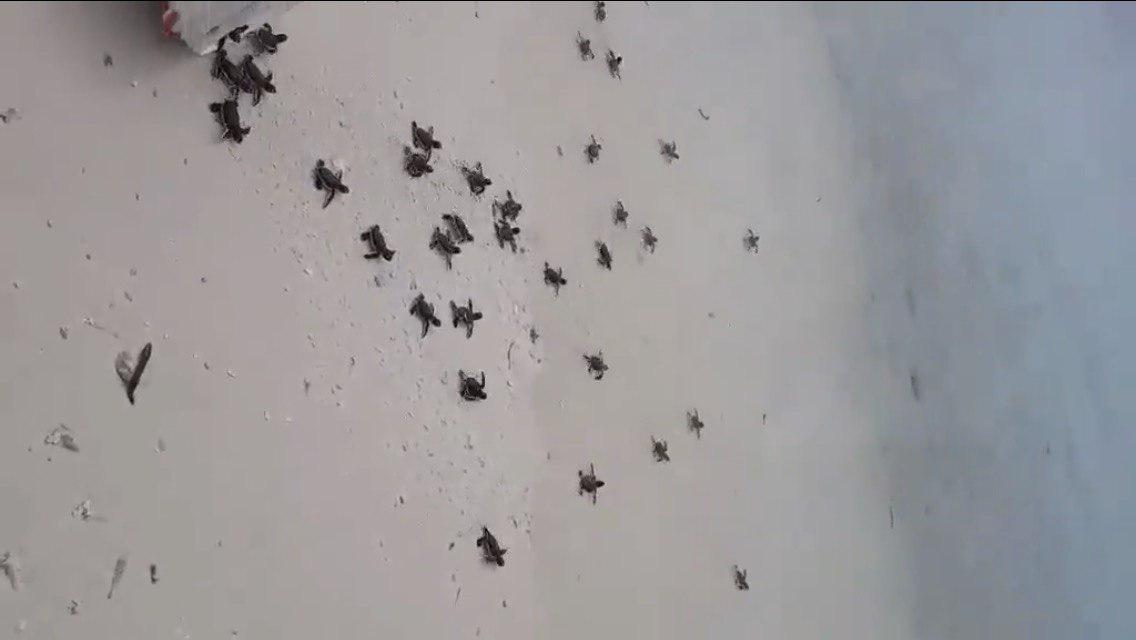 މަގުއޮޅިގެން މުލީ ރަށުތެރެއަށް އެރި ކުދި ވެލާތަކަށް ހިމާޔަތްދިނީ ފުލުހުން