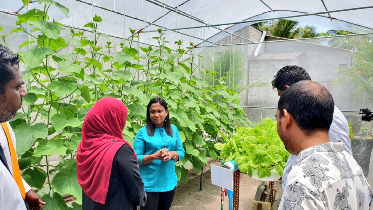 ބަޖެޓް 2021: ސަރުކާރުގެ ދަނޑުވެރިކަމުގެ ކުންފުނީގެ މަސައްކަތް ފުޅާކުރަން 84 މިލިއަން ރުފިޔާ ހޭދަކުރަނީ