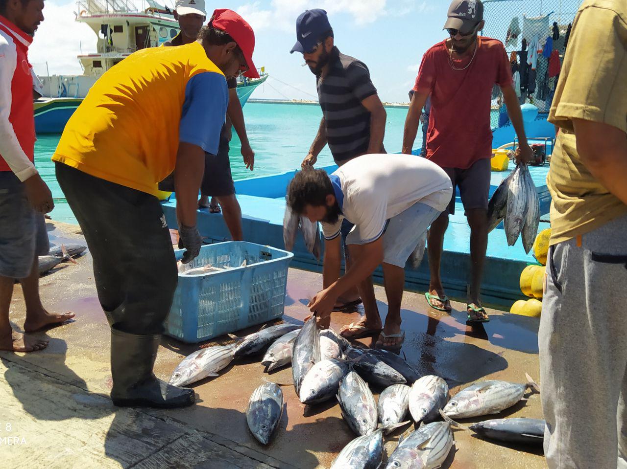 ޢެމްޑީޕީއިން ސަރުކާރަށް؛ ބޭރުގެ ފަރާތްތަކަށް މަސްގަނެވޭނެ އިންތިޒާމް ހަމަޖައްސައިދީ