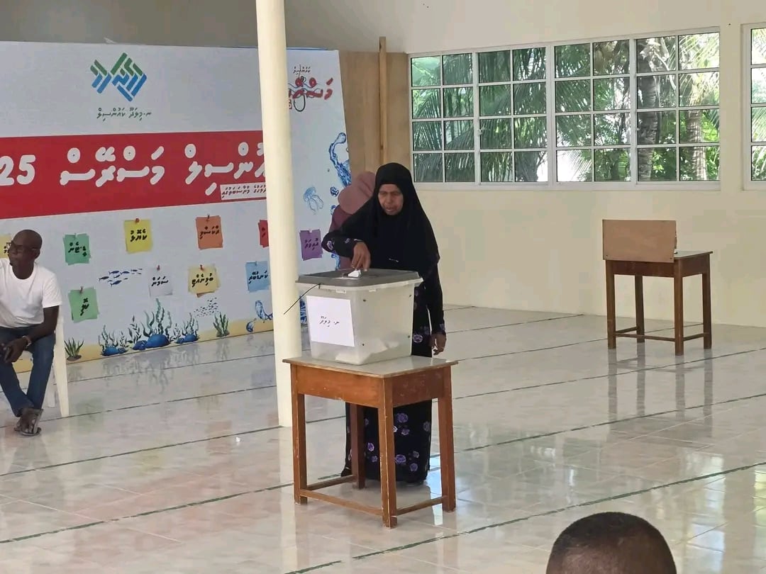 ޕީއެންސީ ޕްރަައިމަރީ: ވޯޓުލުމަށް ފިނި ތަރުހީބެއް