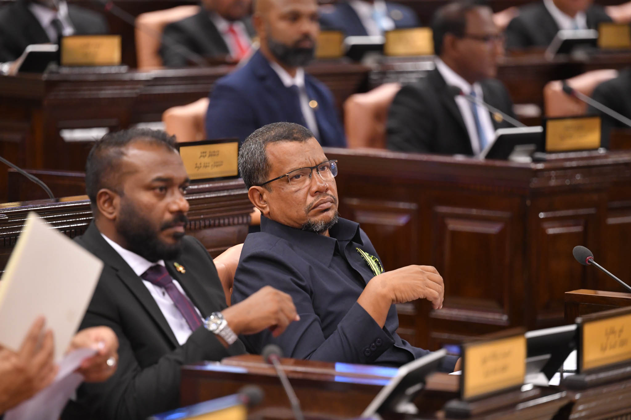 އިޒްރޭލު ޕާސްޕޯޓް މަނާކުރަން އެމްޑީޕީން ހުށައެޅި އިސްލާޙު މަޖިލީހުން ބަލައިގެންފި