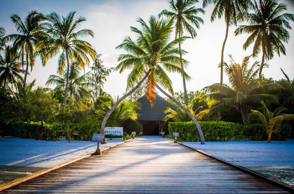 ހެރެތެރެ ރިސޯޓުން ފިލި ފަސް މީހުންގެ ތެރެއިން ތިން މީހަކު ހައްޔަރުކޮށްފި