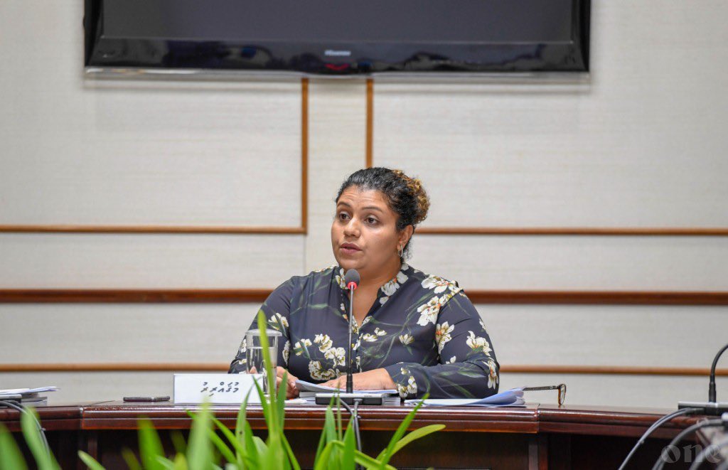 އައިޕީޔޫގެ ހިއުމަންރައިޓްސް ކޮމިޓީ އަށް ޖީހާން