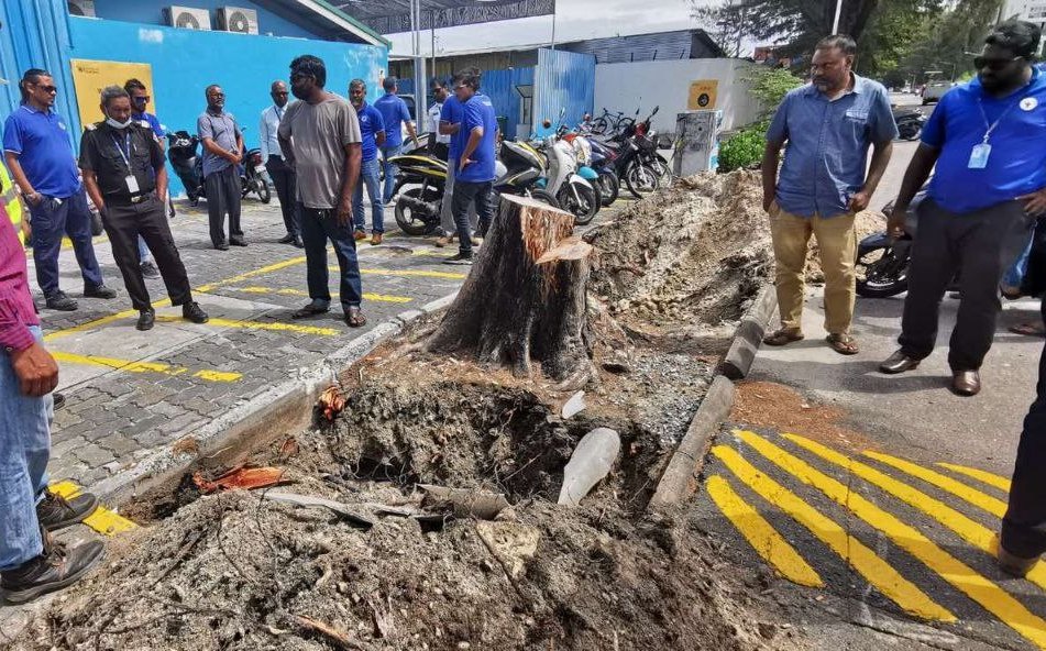 ކަރަންޓު ކެނޑުނީ ގްރޭޓާމާލެ އިންޓަރކަނެކްޝަން ގްރިޑަށް މައްސަލައެއް ދިމާވެެގެން: ސްޓެލްކޯ