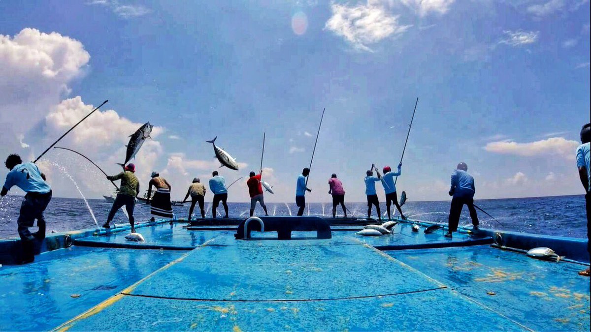 އިންކަމް ސަޕޯޓްގެ ގޮތުގައި މަސްވެރިންނަށް 39.3 މިލިއަން ރުފިޔާ