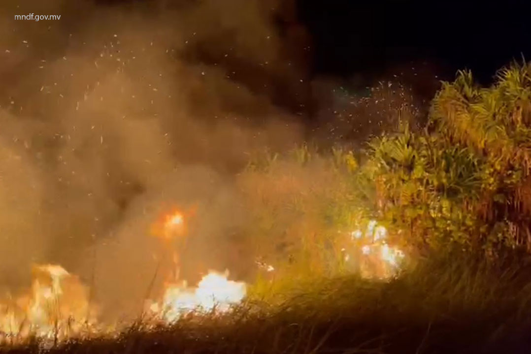 ސ. ހިތަދޫ މާކިިޅި ސަރަހައްދުގައި އިއްޔެ ހަވީރު ރޯވި އަލިފާންގަނޑު ރޭފަތިހު ނިއްވާލައިފި