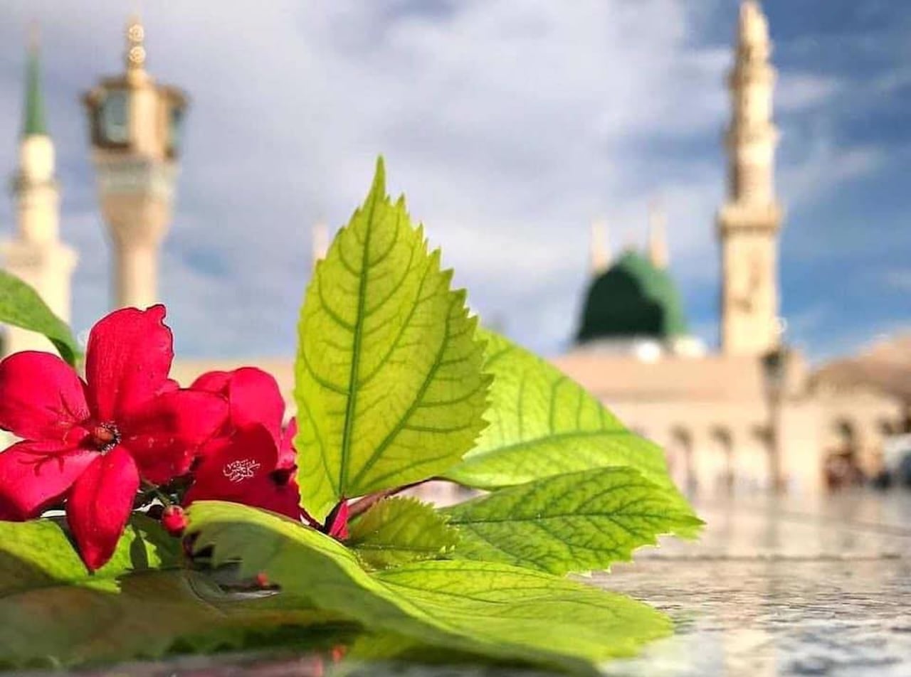 ދީން ބާރުއަޅަނީ ކުދީންގެ ޅަނދޮޅު ހިތްތަކަށް ރޫޙާނީ ދިރުން ގެނެސްދޭ ޢިލްމު ފޯރުކޮށްދިނުމަށް