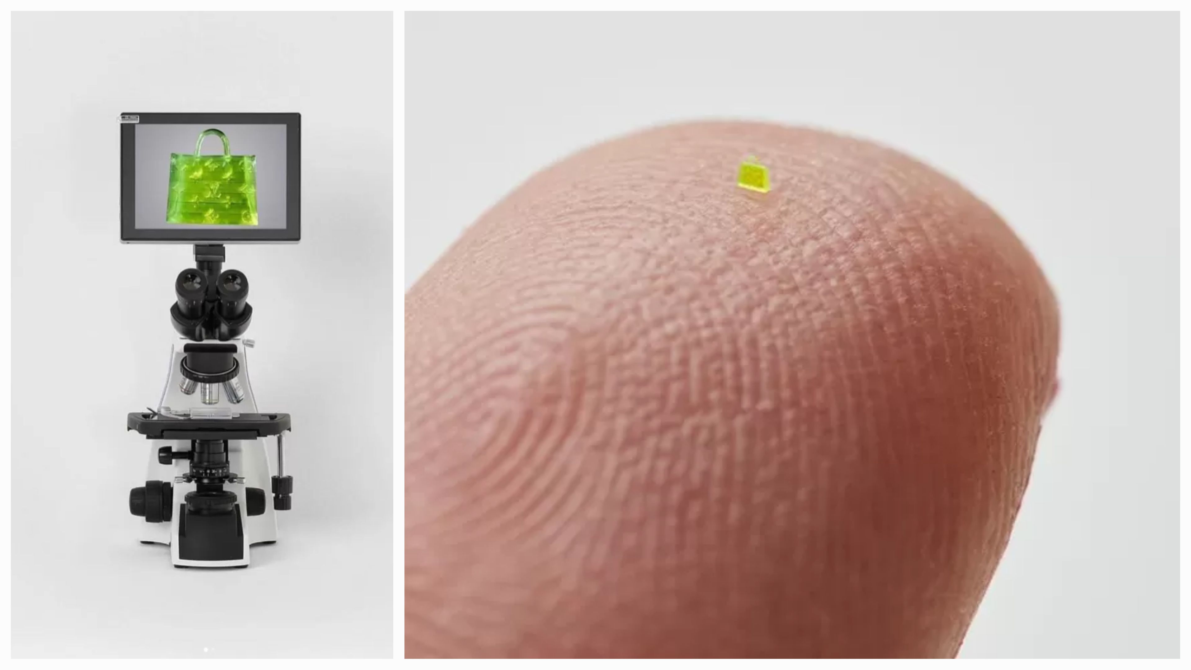 އިންސާނާގެ ލޮލަށް ކިރިޔާ ފެންނަ މައިކްރޮސްކޯޕިކް ދަބަހެއް 60،000 ޑޮލަރަށް ވިއްކާލައިފި