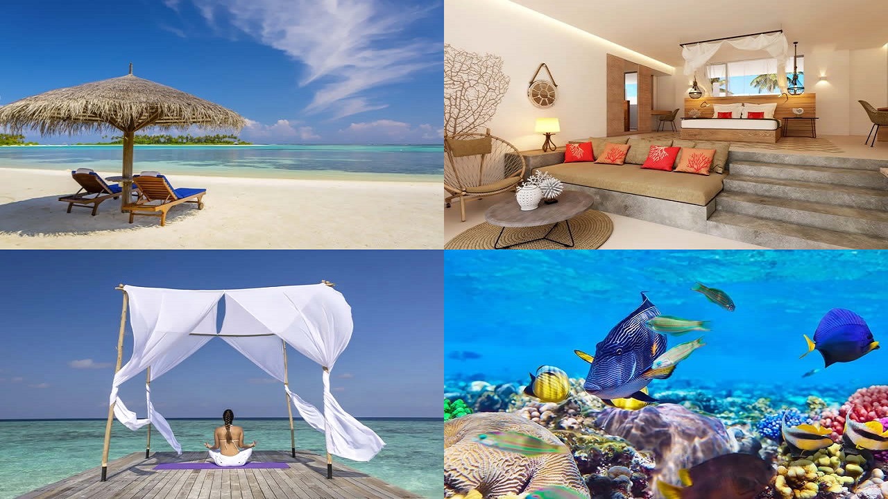 "ސޭފް ހެވަން" ގެ ގޮތުގައި ރާއްޖެ އިޝްތިހާރު ކުރަނީ