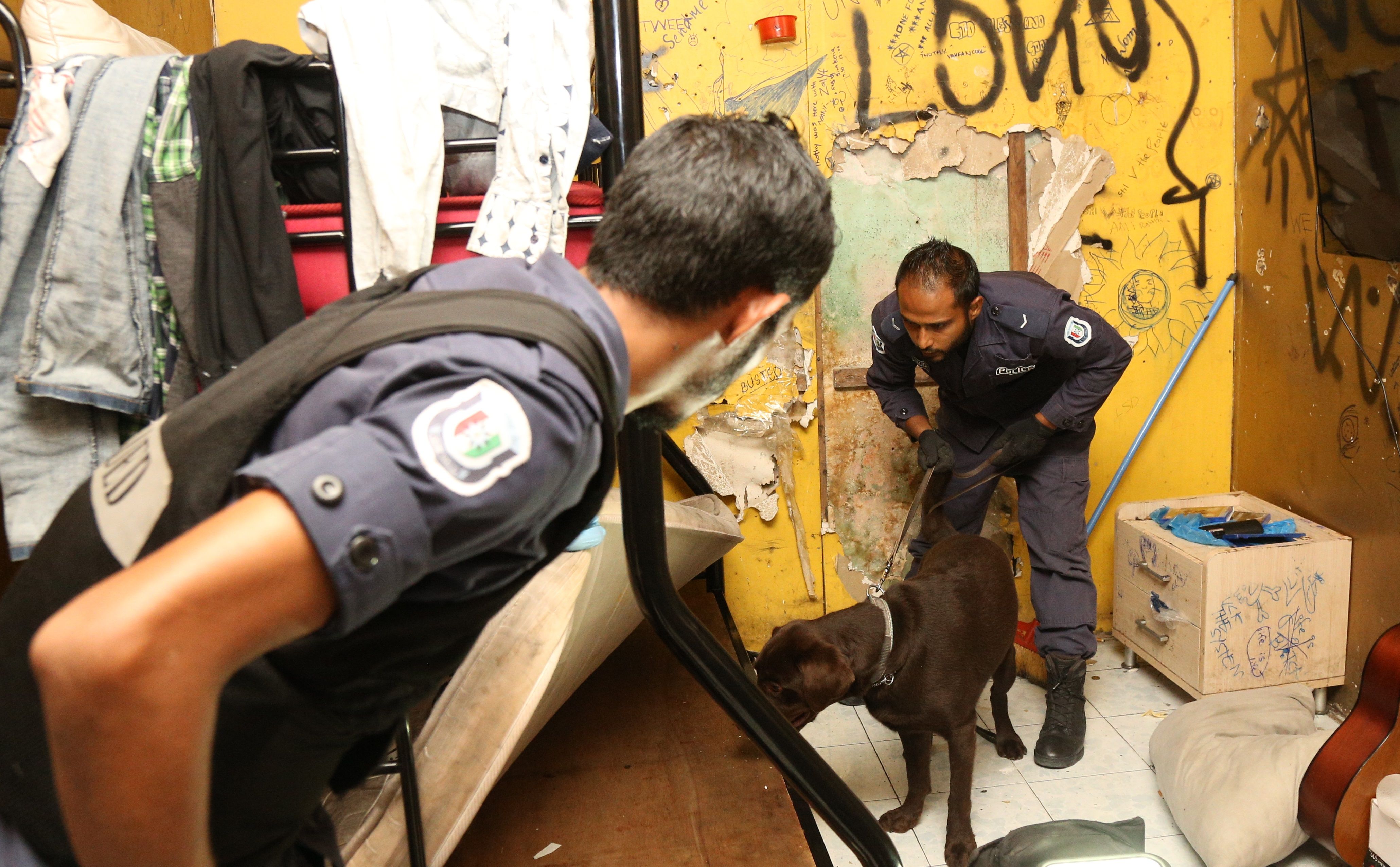 ގާނޫނުގައި ނެތް ބާވަތްތަކުގެ މަސްތުވާތަކެތި ދަނީ އާއްމުވަމުން: ފުލުހުން