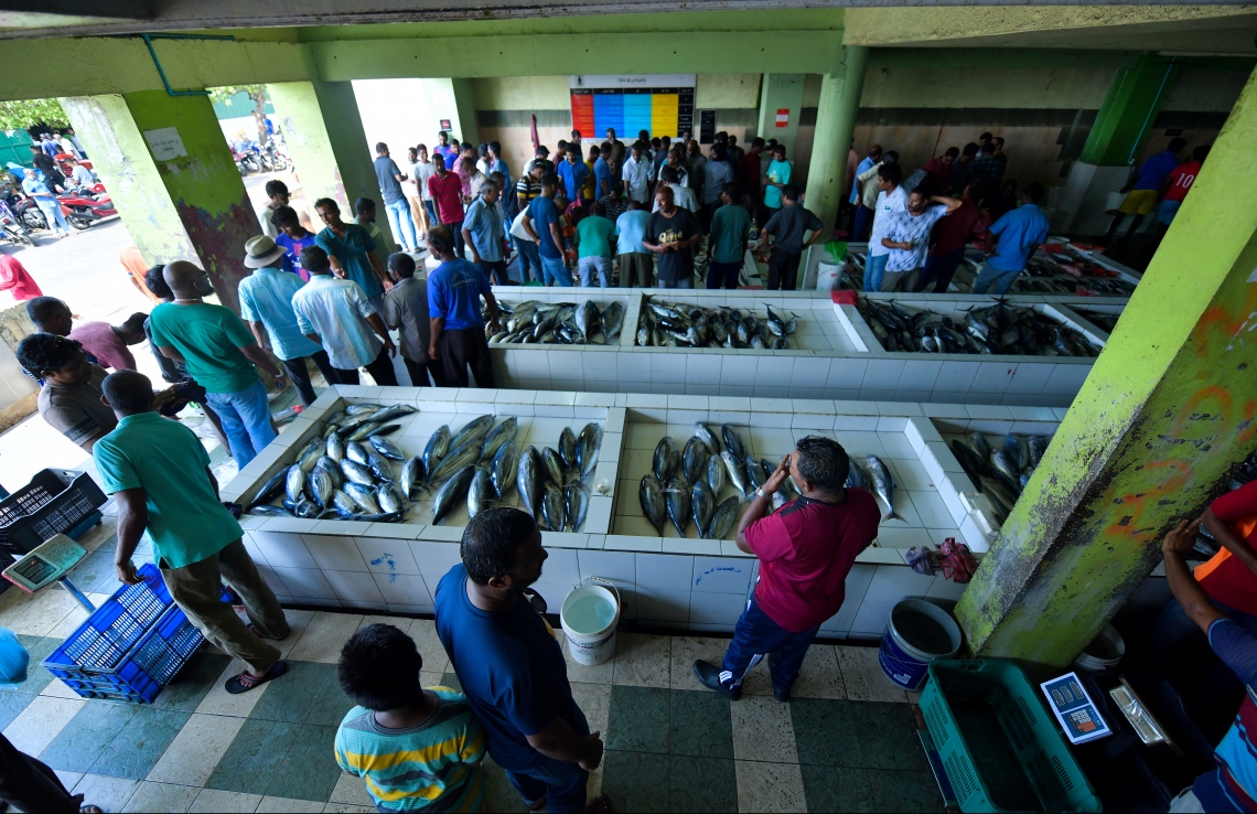 ދައުރު ނިމުމުގެ ކުރިން 200 ދޯނީގައި މަސްފިނިކުރާ ނިޒާމް ޤާއިމުކުރަނީ