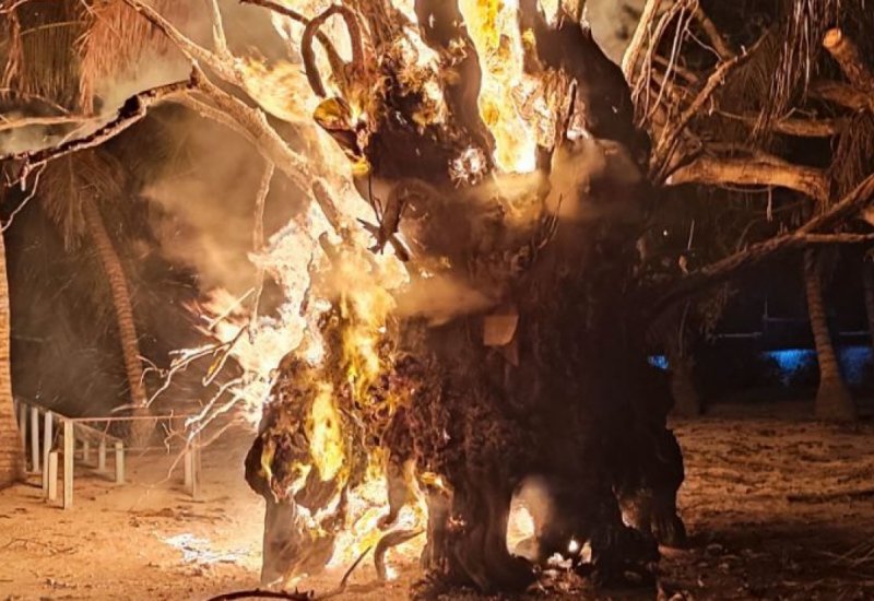 ބޮޑު ތަކުރުފާނު އިންދެވި ކާނިގަހުގައި ރޯކޮށްލައިފި