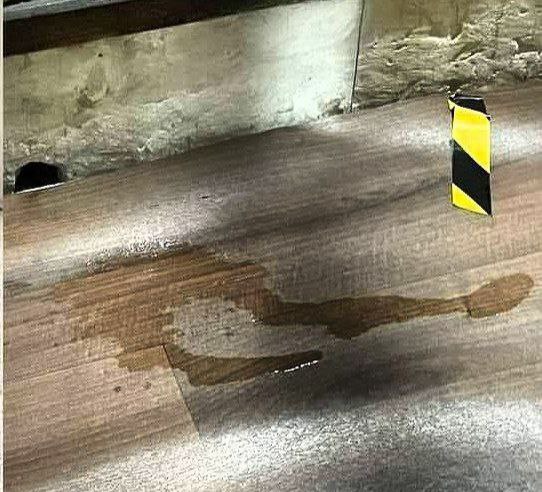 މިސްކިތުތެރެއަށް ކުޑަކަމުގޮސްފައިވަނީ ނުކުޅެދުންތެރިކަންހުންނަ މީހެއް: ފުލުހުން