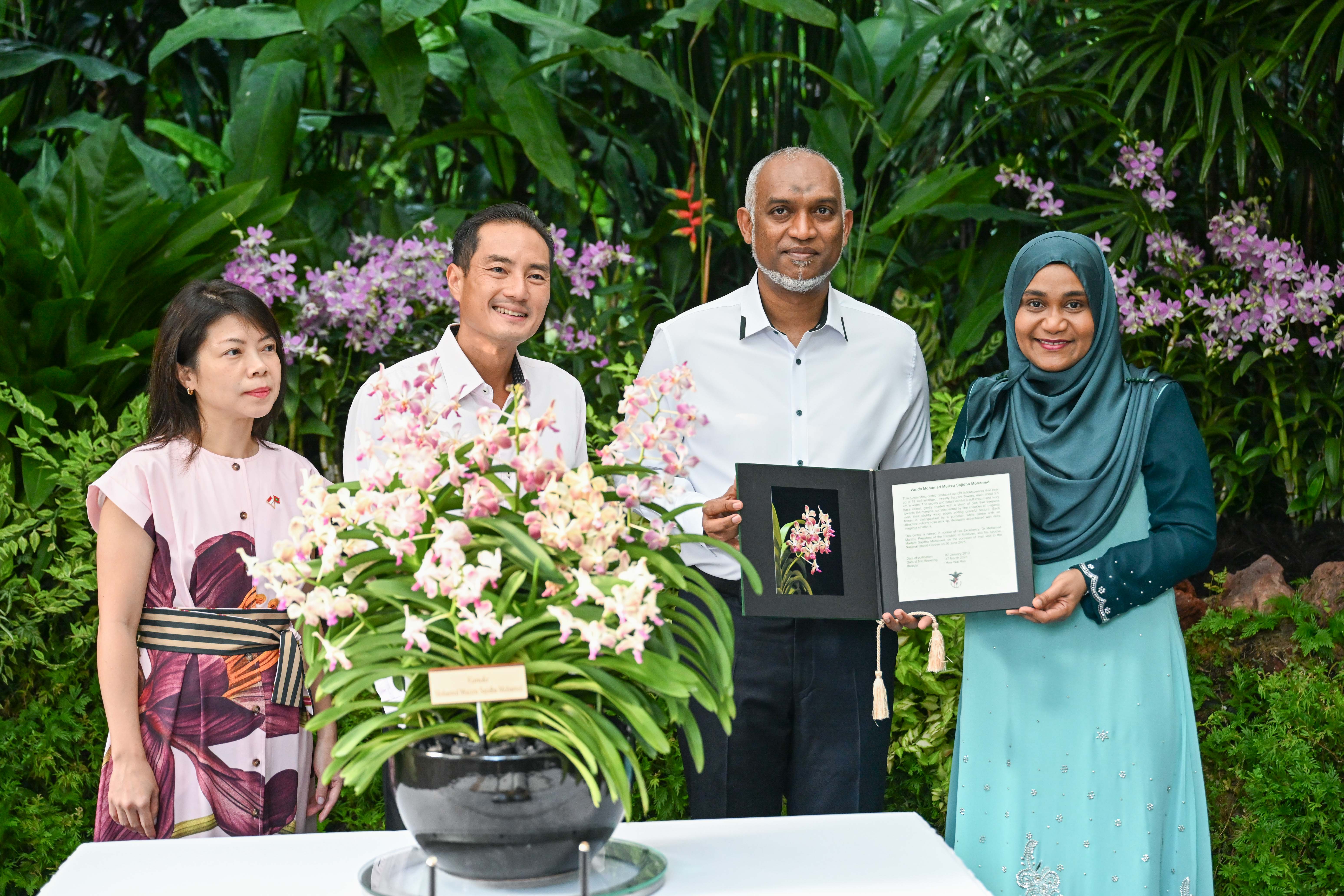 ސިންގަޕޫރުގައި އޯކިޑް ގަހަކަށް ރައީސް މުއިއްޒުގެ ދެކަނބަލުންގެ ނަމުން ނަން ދީފި