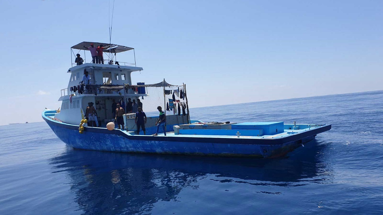 މަސްވެރިއެއްގެ ލޮލަށް ބުޅިއެއް ހެރިގެން ސިފައިން ޙަރަކާތްތެރިވެއްޖެ