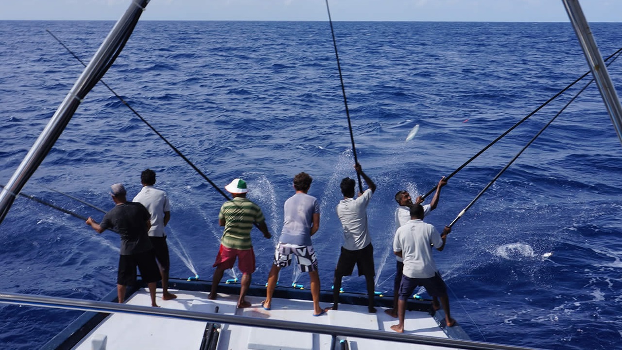 މިފްކޯއަށް ވުރެ ހެޔޮއަގުގައި ހޮރައިޒަންއިން މަސްވެރިންނަށް ޑީސަލް ވިއްކަން ފަށައިފި