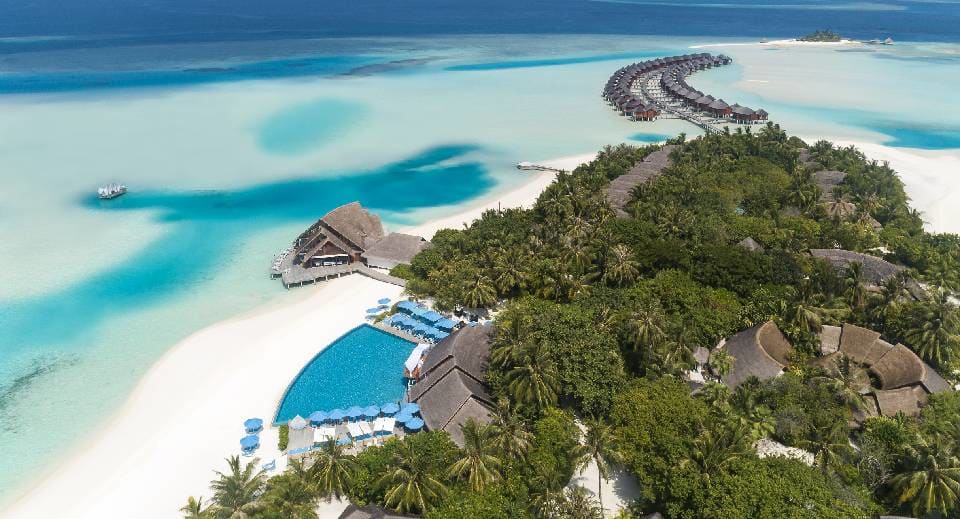 ބަގީއާއެކު މޫދަށް ވެއްޓުނު މޮރޮކޯގެ އަންހެން މީހާ ނިޔާވެއްޖެ