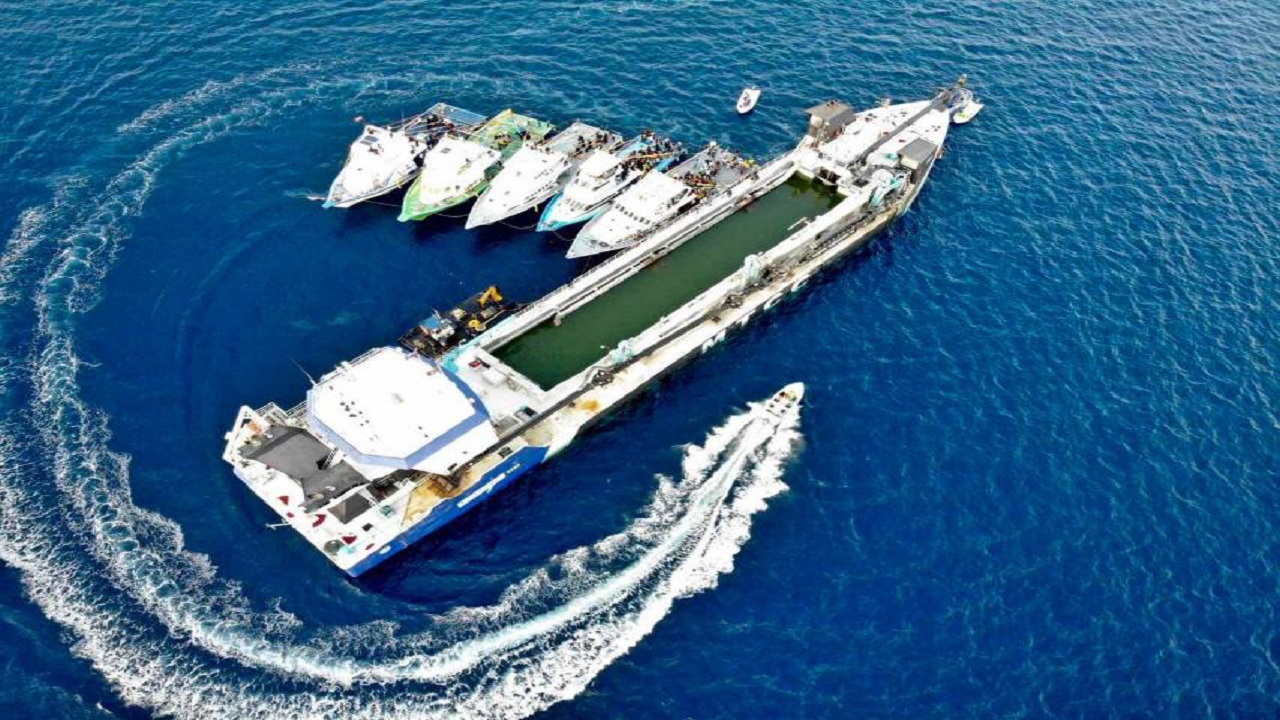 ދުވާފަރު ބިން ހިއްކުމަށް މަހާޖައްރާފު ގެންގޮސްފި