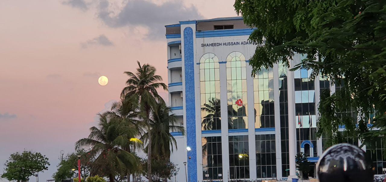 11 އަހަރުގެ އަންހެންކުއްޖާ ރޭޕްކުރި މައްސަލައިގައި މީހަކު ހައްޔަރުކޮށްފި