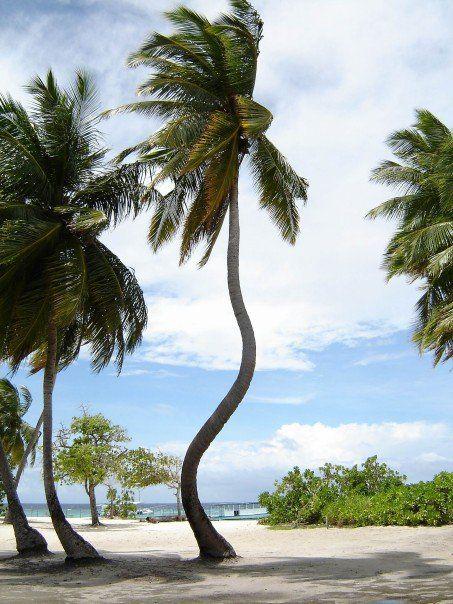 ކޯވިޑް-19: ހުޅުދުއްފާރު ހޯމް ކަރަންޓީނުގައި ހުރި މީހަކުވެސް ޕޮޒިޓިވްވެއްޖެ